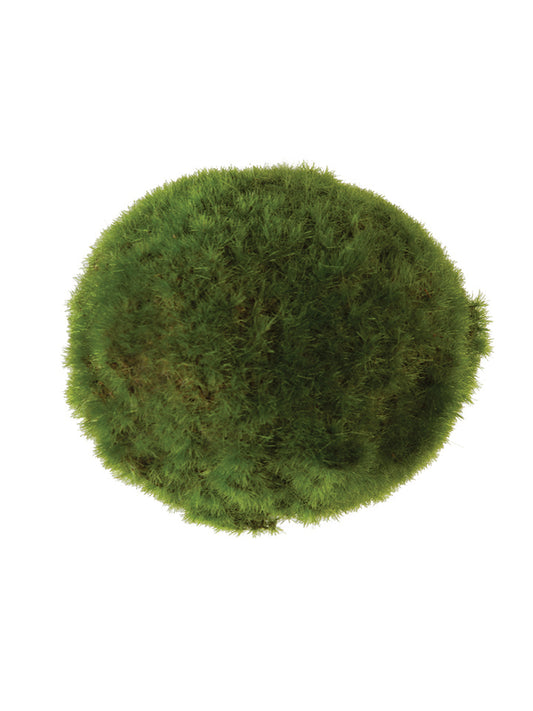 4" Moss Ball, Green