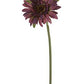 25" Gerbera Daisy, Dark Purple