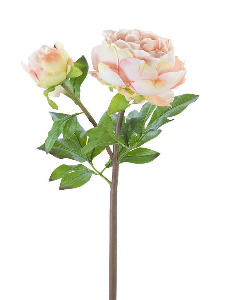 23" Fresh Touch Peony Stems (Various Colors)