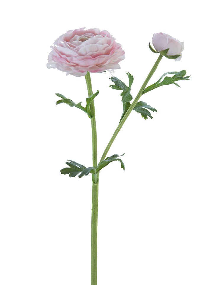 24" Real Touch Asiatic Ranunculus Stem, Pink
