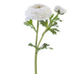 24" Real Touch Asiatic Ranunculus Stem, White