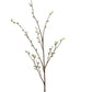 53.5" Pussy Willow Branch, Light Green
