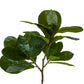 29.5" Fig Leaf Branch, Green