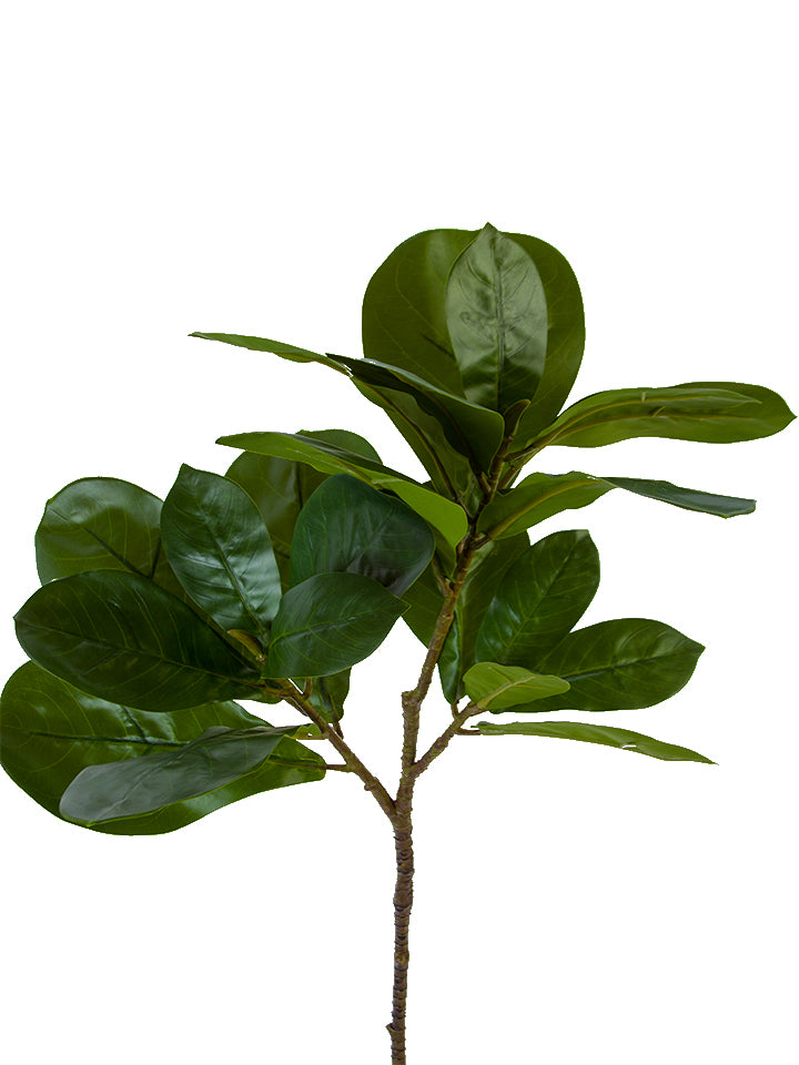 29.5" Fig Leaf Branch, Green