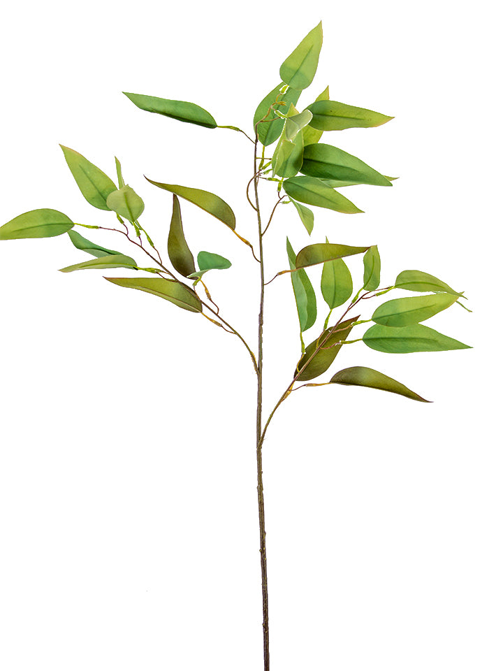 34.5" Long Leaf Eucalyptus Spray, Green