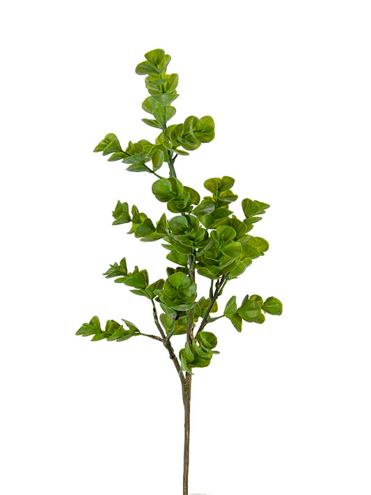24" Eucalyptus Spray, Green