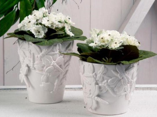 6.5" African Violet in Metal Pot, White