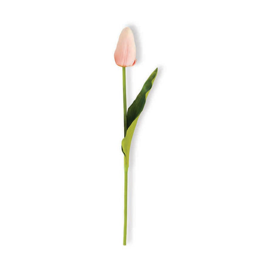 10.5" Single Mini Tulip (Various Colors)