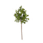 18" Real Touch Boxwood Pick