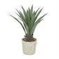 Faux Foliage Agave Potted Plant (Various Sizes)