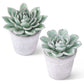 Round Petal Succulent in Gray Pot, Dark Green (Various Styles)