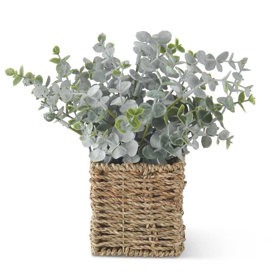 Powdered Eucalyptus in Woven Basket (Various Sizes)