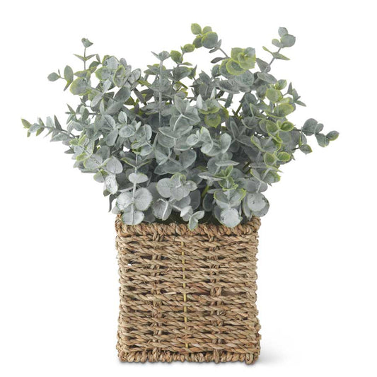 Powdered Eucalyptus in Woven Basket (Various Sizes)