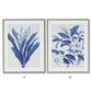 Silver Resin Framed Blue & White Botanical Print (Various Styles)