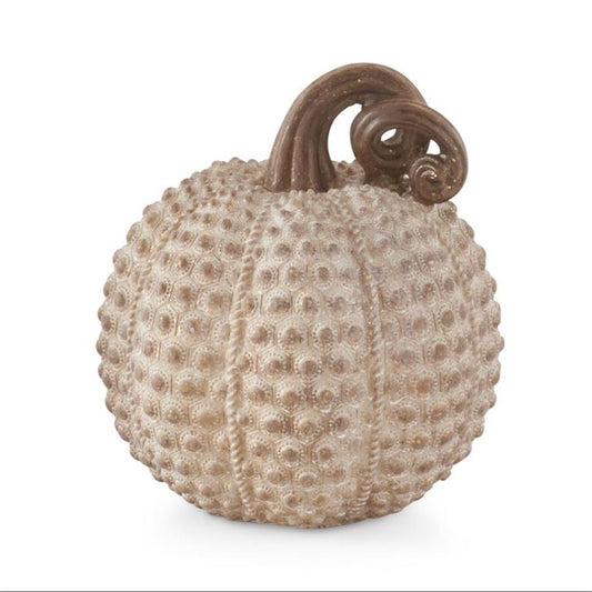 Resin Beige Textured Pumpkin (Various Styles)