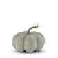 Green Whitewashed Textured Pumpkin (Various Sizes)