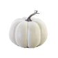 Heirloom Pumpkin, Cream