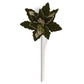 24" Dark Green Ribbed Velvet & Gold Sequin Poinsettia