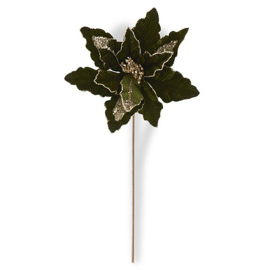 24" Dark Green Ribbed Velvet & Gold Sequin Poinsettia