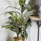 Gold Aluminum Planter (Various Sizes)