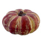 4" Cinderella Rust Pumpkin