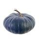 Cinderella Pumpkin, Blue Slate