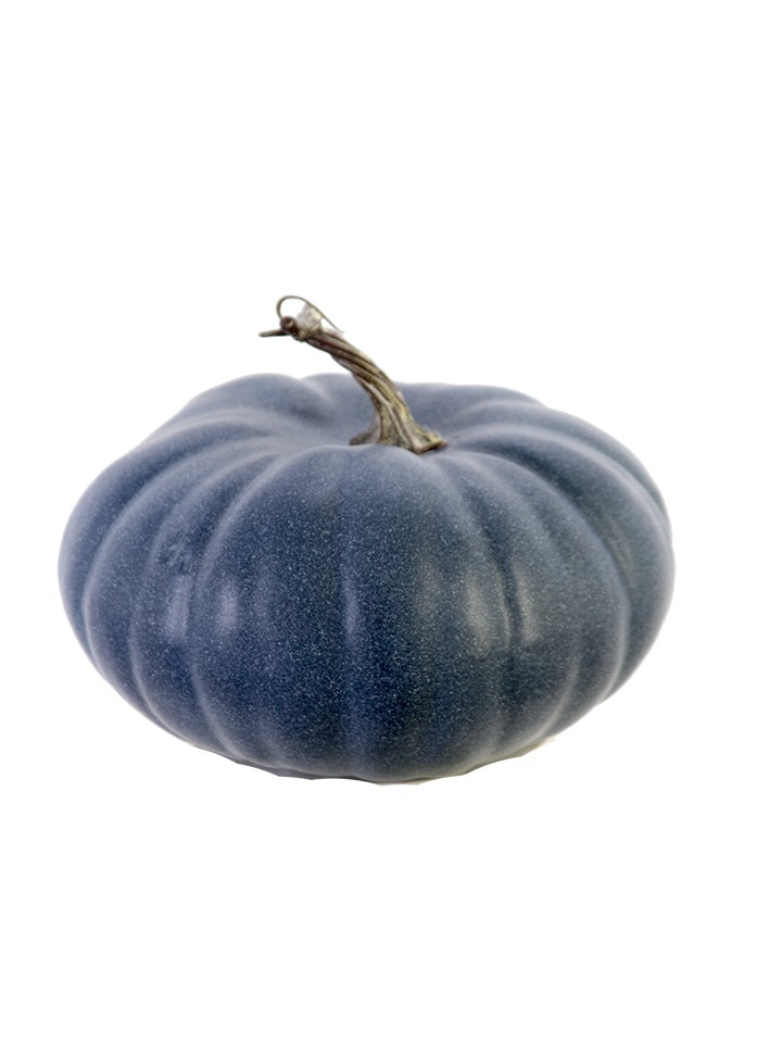 Cinderella Pumpkin, Blue Slate