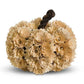 Cream Shaved Wood Pumpkin, Medium