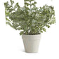 Real Touch Fern In Gray Pot (Various Styles)