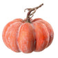 Weathered Pumpkin & Vine, Short