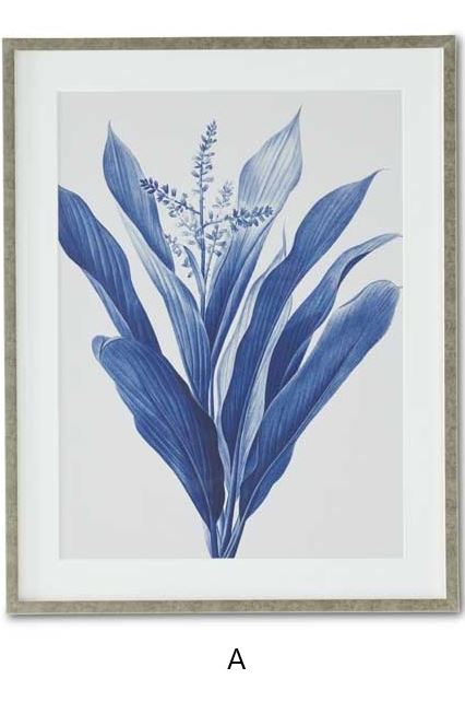 Silver Resin Framed Blue & White Botanical Print (Various Styles)