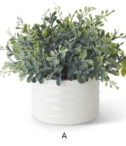 7.25" Eucalyptus in Ribbed White Ceramic Vase (Various Styles)