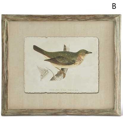 Patina Bois Wood Framed Bird Print (Various Styles)