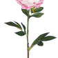 25" Real Touch Peony Stem (Various Colors)