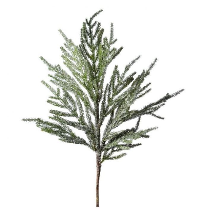 30" Iced Norfolk Pine Branch