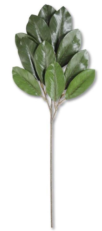 30" Green Magnolia Leaf Spray