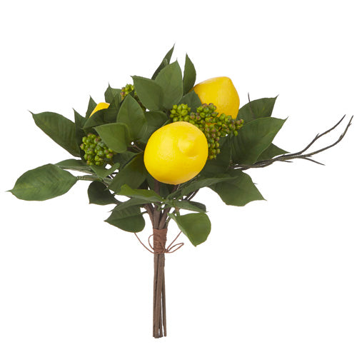 13" Mixed Lemon Bouquet