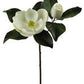 27" Magnolia Stem, White