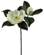27" Magnolia Stem, White