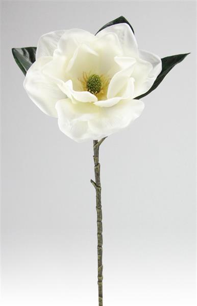 34" Magnolia Stem, White & Green