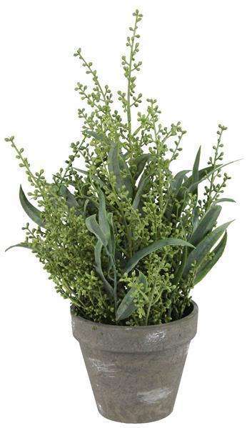 Willow Potted Eucalyptus, Sage Green