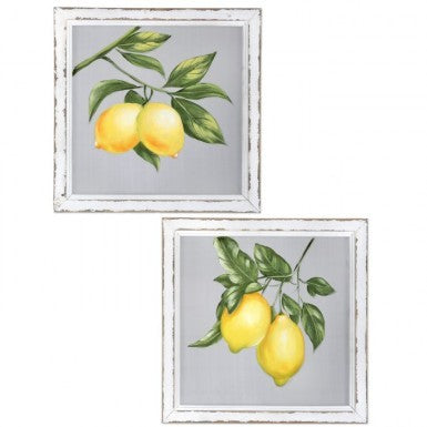 Painted Lemon Branch on a Screen