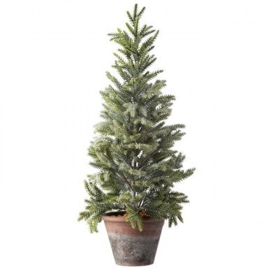 24" Frosted Mini Spruce Tree