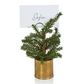 Pine in Gold Bucket Place Card Holder