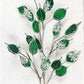 37" Icy Money Plant Spray, Emerald Green
