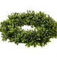 14" American Boxwood Candle Ring