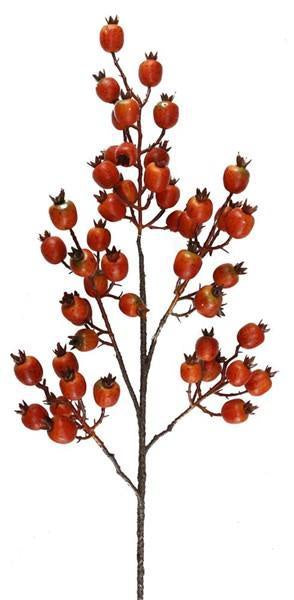 31" Wild Rose Hip Sray, Orange