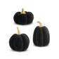 Black Velvet Pumpkin w/ Gold Stem (Various Styles)