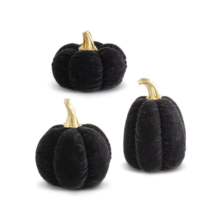 Black Velvet Pumpkin w/ Gold Stem (Various Styles)