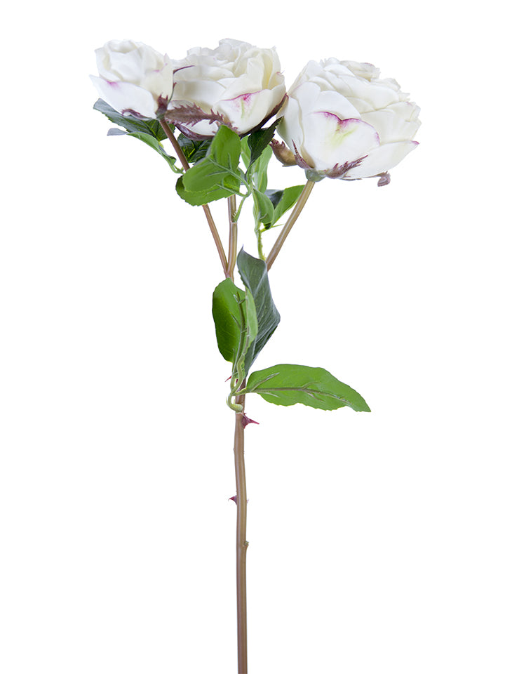 21" Real Touch Cabbage Rose Spray (Various Colors)
